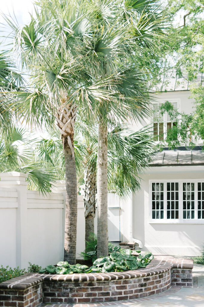 Palm trees and brick courtyard at The Gadsden House in Charleston